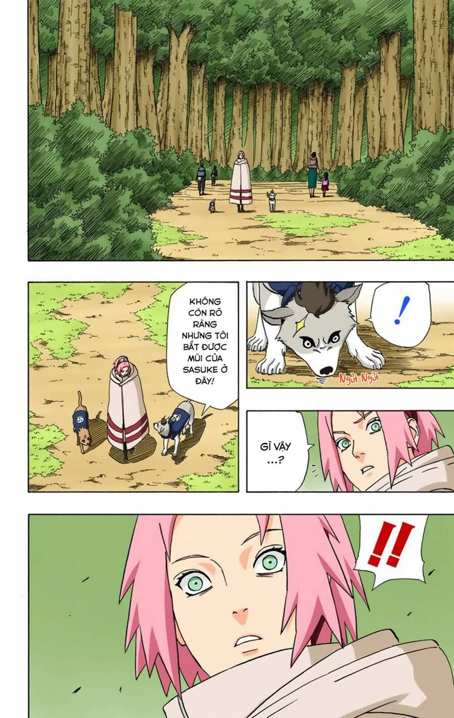 Naruto Full Màu Chapter 355 - Trang 2