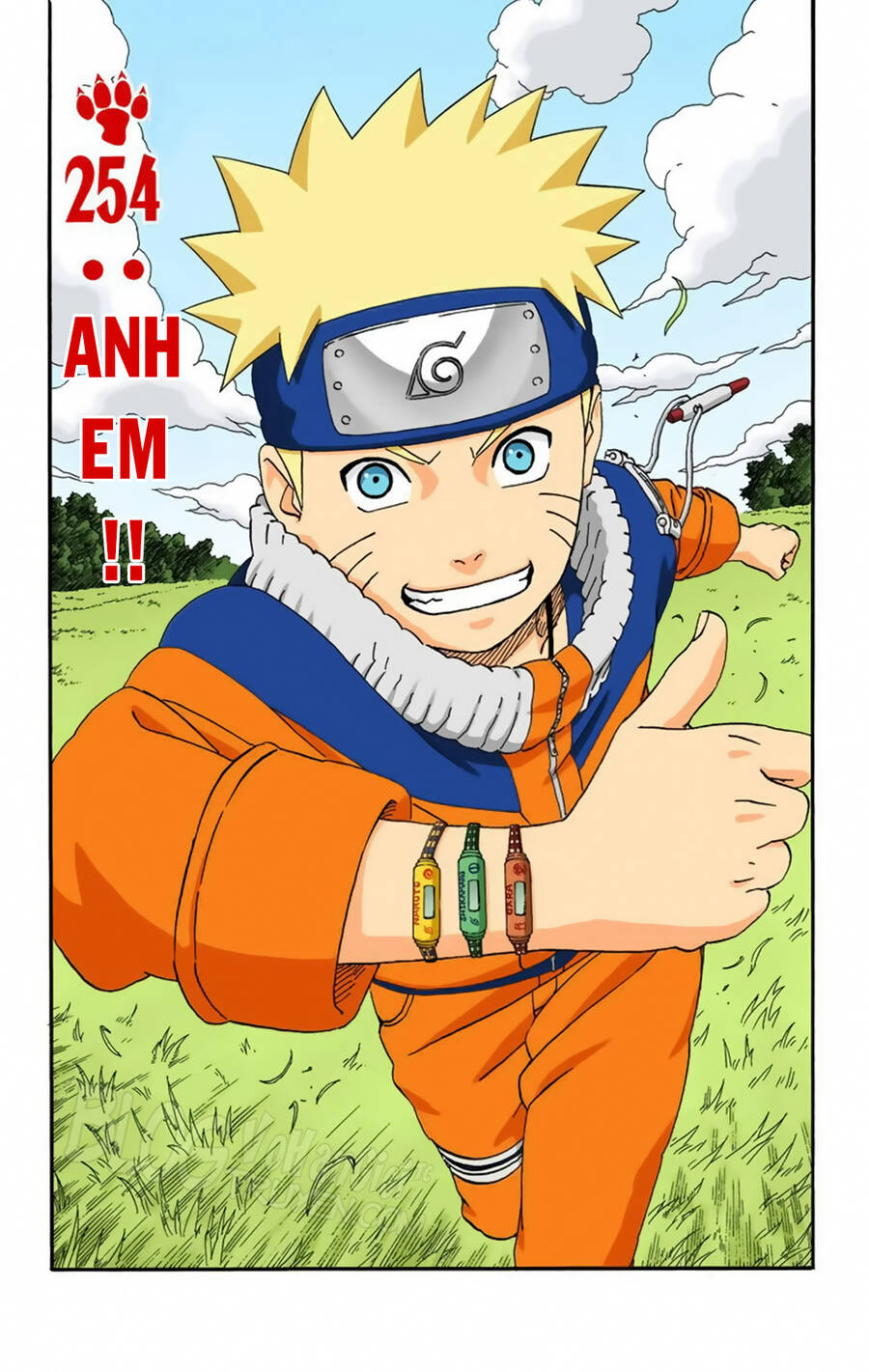 Naruto Full Màu Chapter 254 - Trang 2