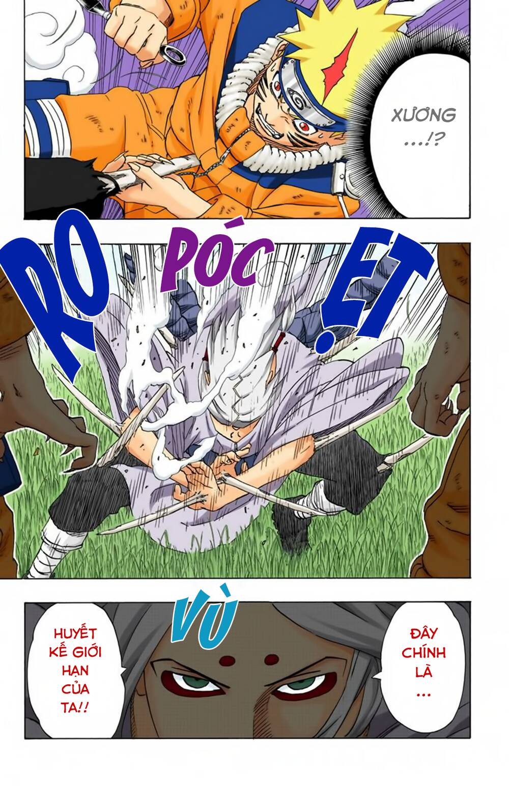 Naruto Full Màu Chapter 205 - Trang 2