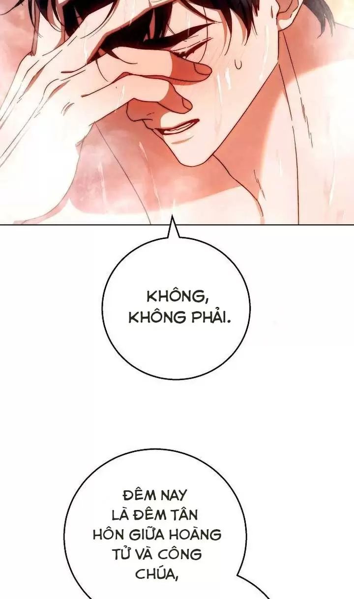 Lần Này Tôi Sẽ Sinh Con Với Người Đàn Ông Khác Chapter 17 - Trang 2