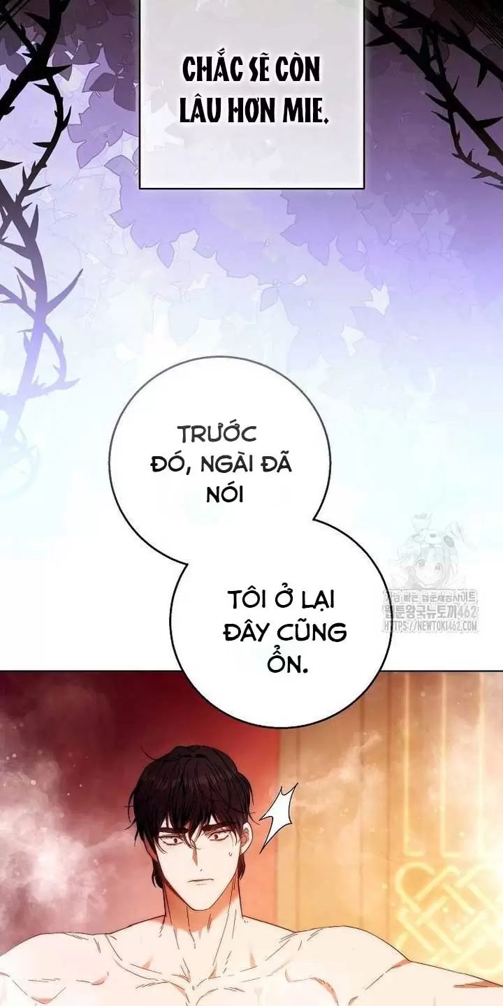 Lần Này Tôi Sẽ Sinh Con Với Người Đàn Ông Khác Chapter 17 - Trang 2