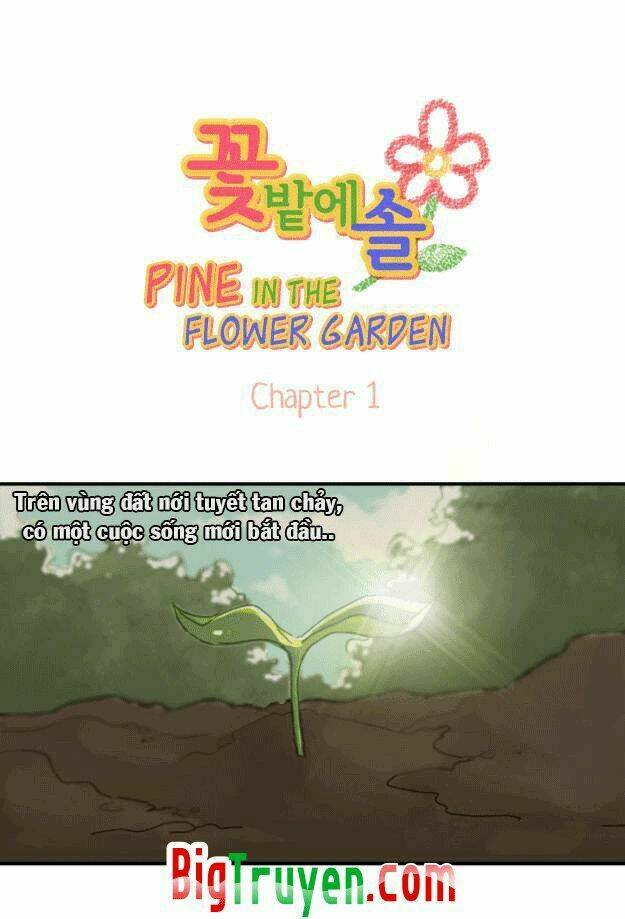 Pine In The Flower Garden Chapter 1 - Trang 2