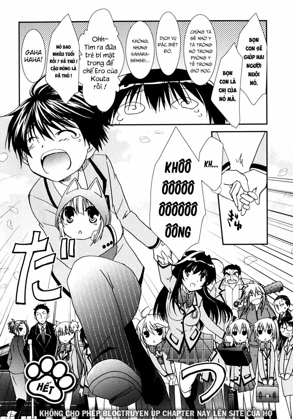 Kanokon Chapter 47 - Trang 2