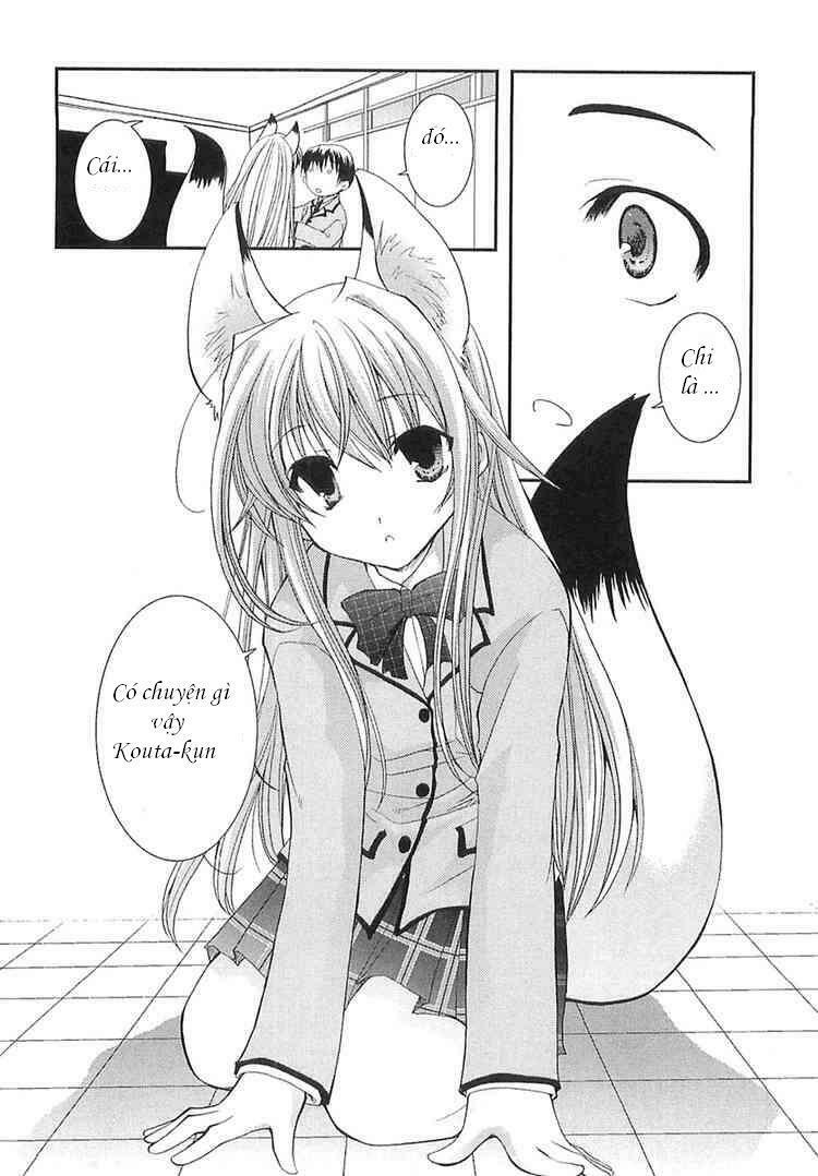 Kanokon Chapter 1 - Trang 2