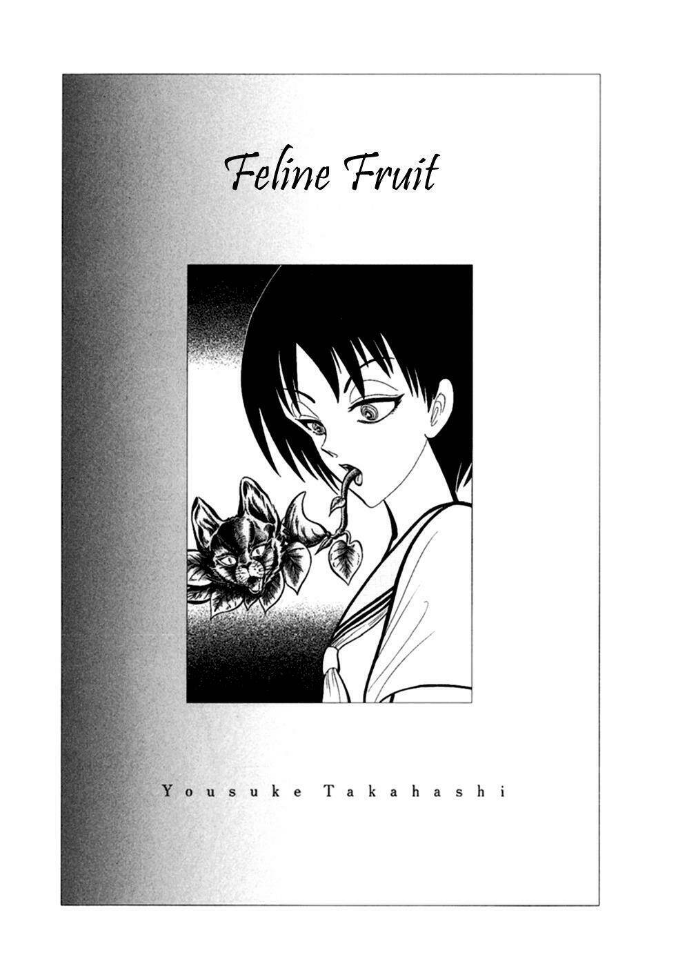 Series Truyện Kinh Dị Của Takahashi Yousuke Chapter 9 - Trang 2