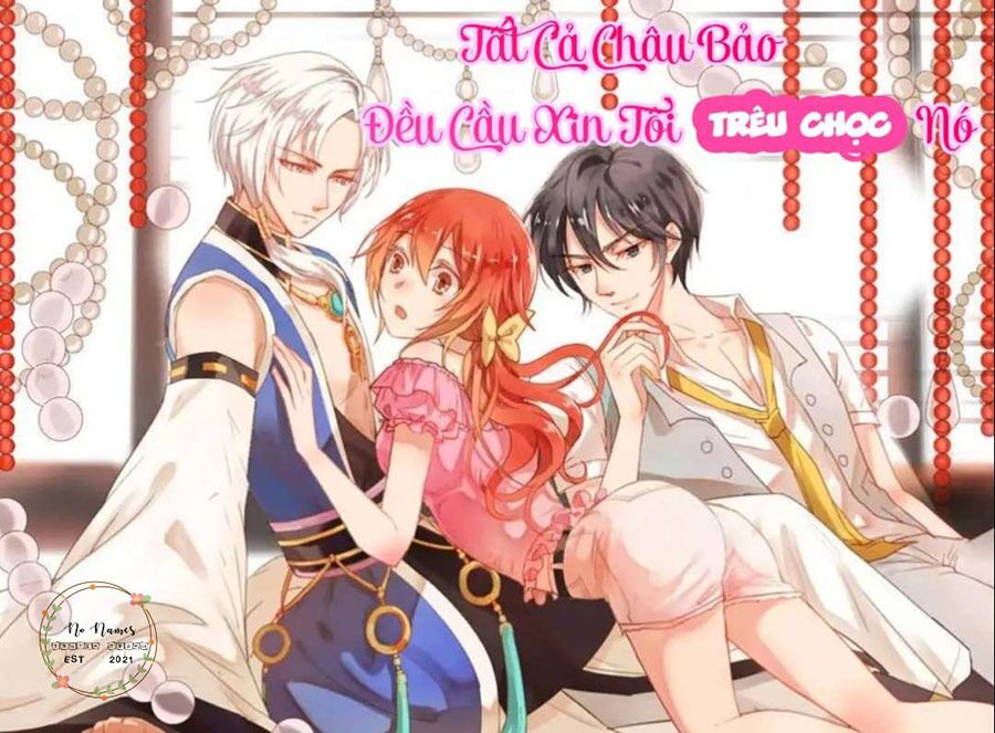 Tất Cả Châu Bảo Đều Cầu Xin Tôi Trêu Chọc Nó Chapter 8 - Trang 2