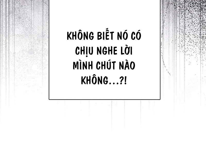 Những Ranker Cấp S Mà Tôi Nuôi Dưỡng Chapter 145 - Trang 2