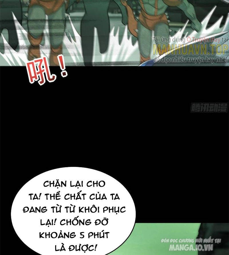 Mạt Thế Vi Vương Chapter 607 - Trang 2