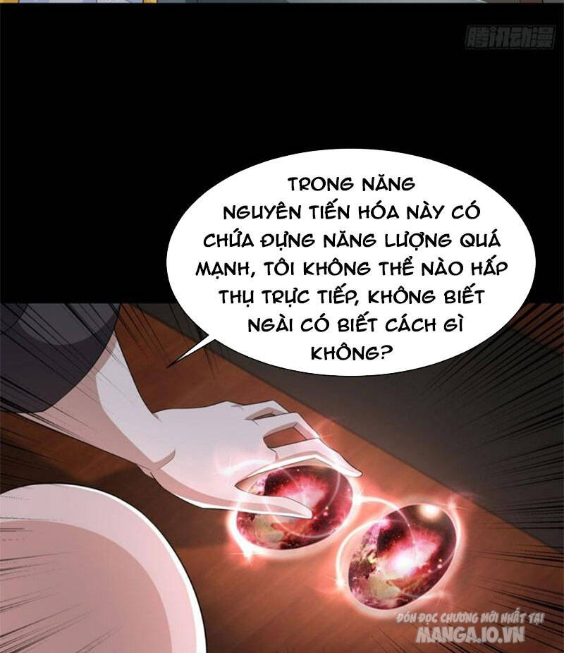 Mạt Thế Vi Vương Chapter 602 - Trang 2