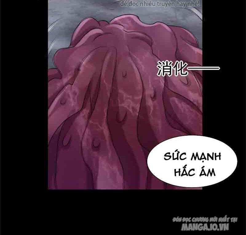 Mạt Thế Vi Vương Chapter 593 - Trang 2