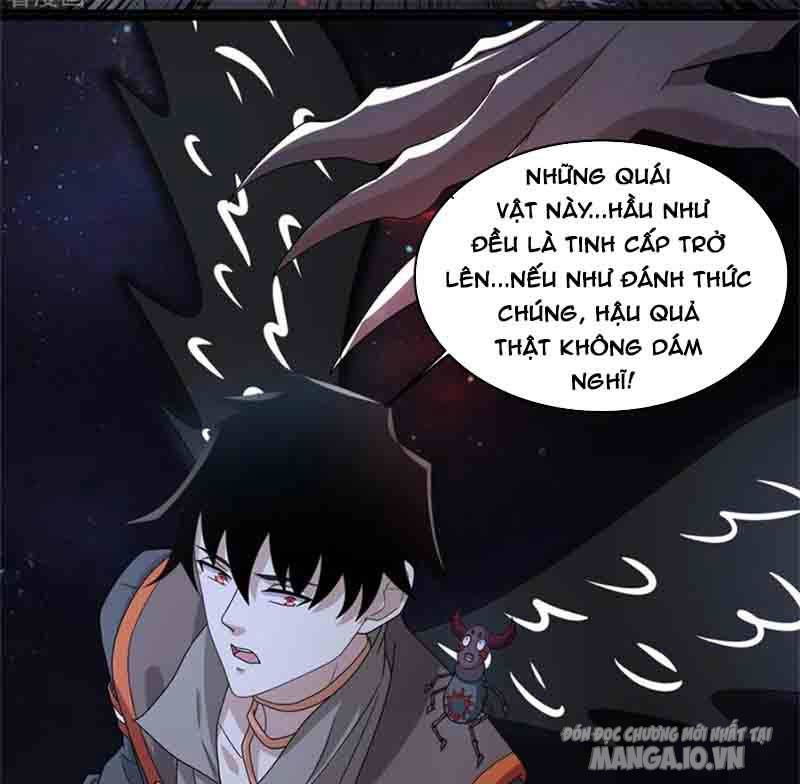 Mạt Thế Vi Vương Chapter 591 - Trang 2