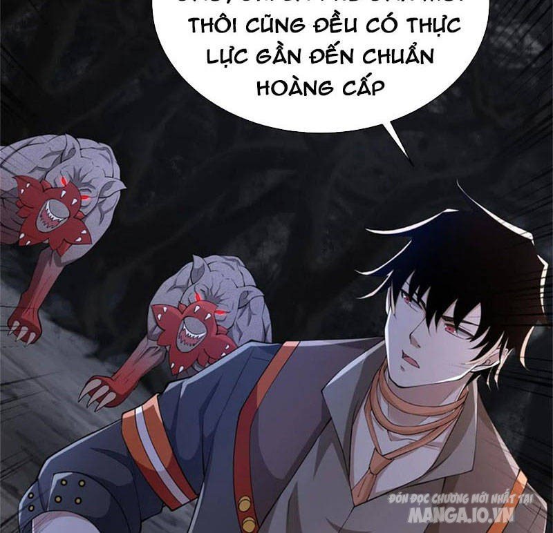 Mạt Thế Vi Vương Chapter 590 - Trang 2