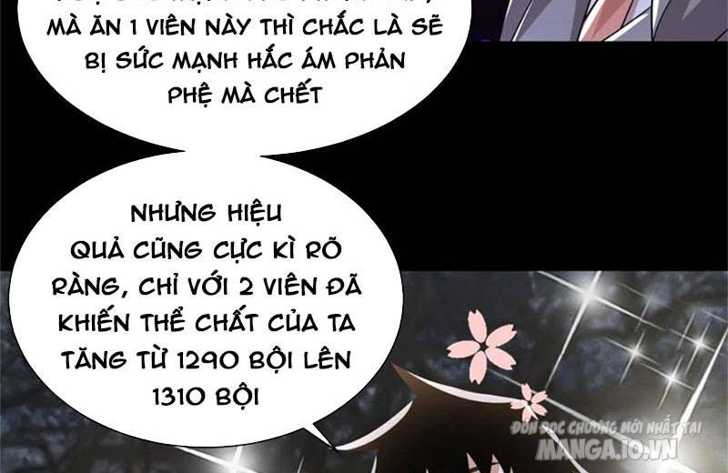 Mạt Thế Vi Vương Chapter 590 - Trang 2