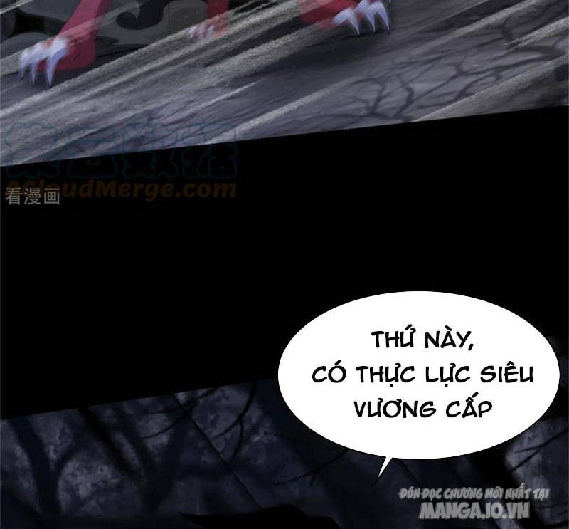 Mạt Thế Vi Vương Chapter 589 - Trang 2