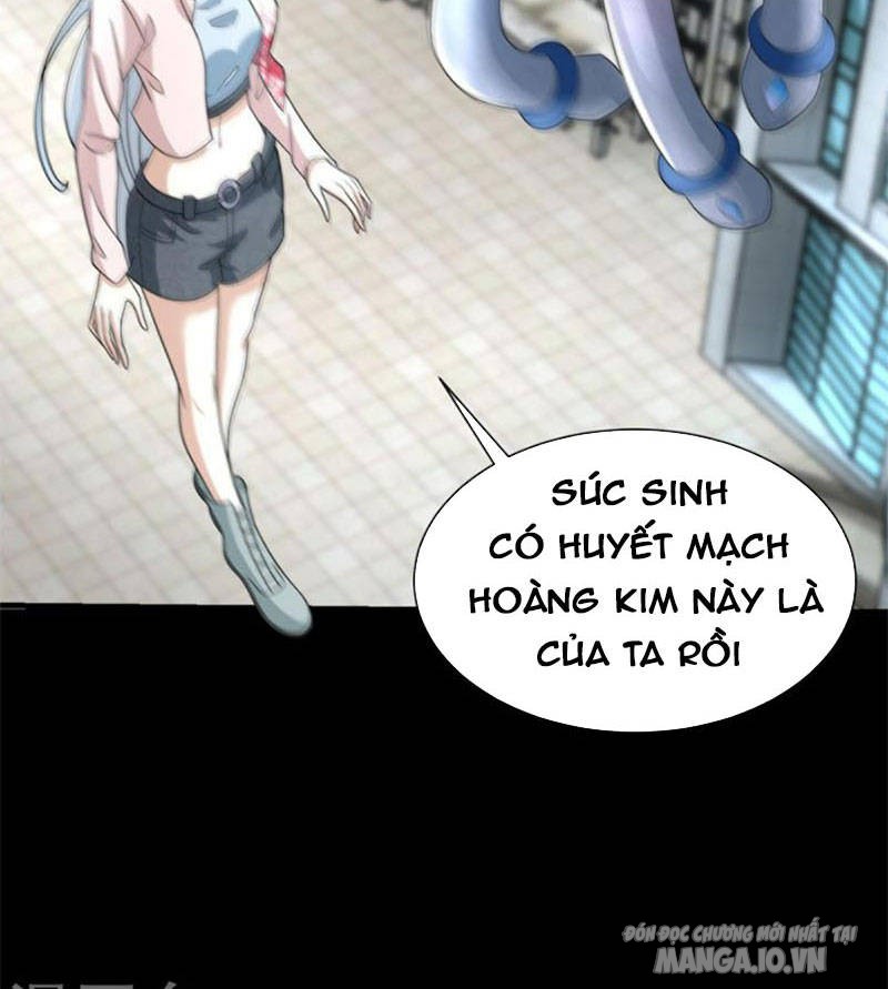 Mạt Thế Vi Vương Chapter 583 - Trang 2