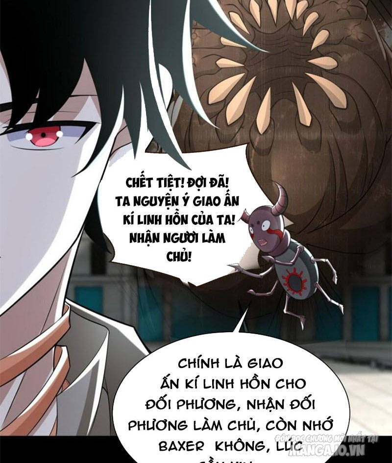 Mạt Thế Vi Vương Chapter 574 - Trang 2