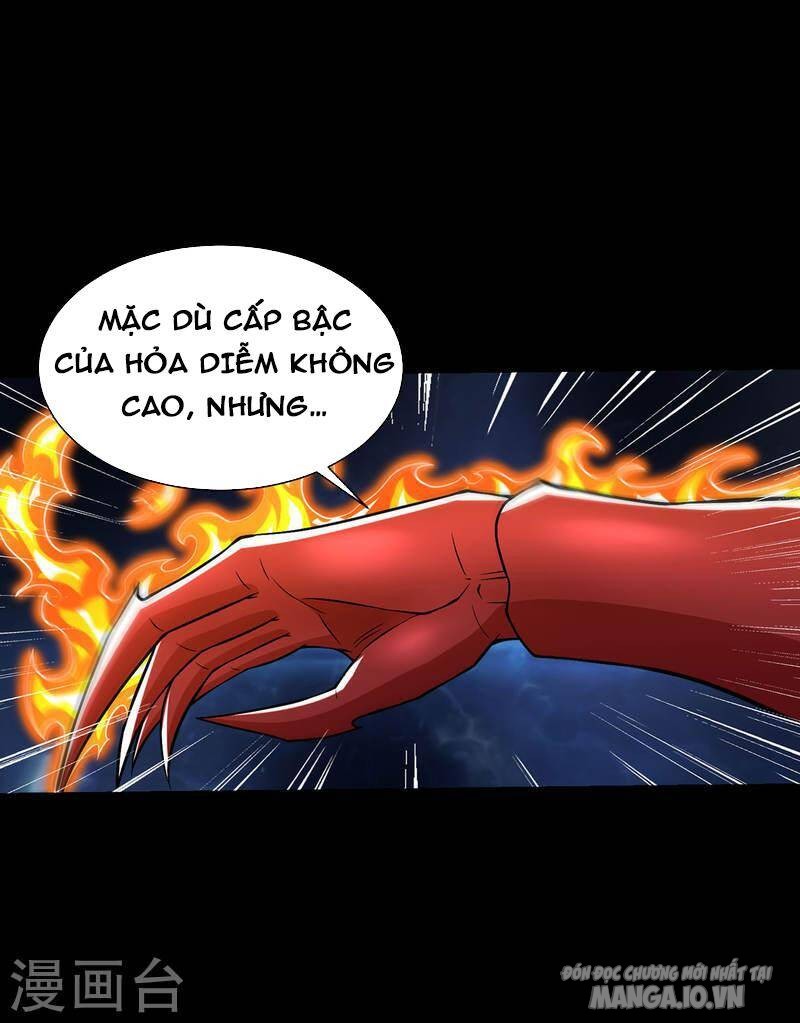 Mạt Thế Vi Vương Chapter 564 - Trang 2