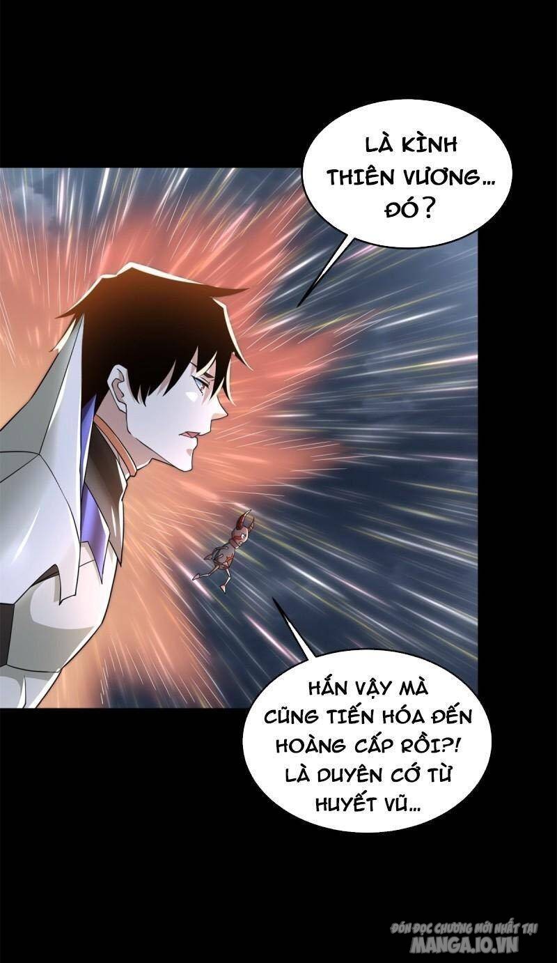 Mạt Thế Vi Vương Chapter 554 - Trang 2