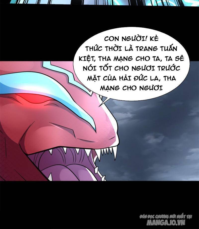 Mạt Thế Vi Vương Chapter 552 - Trang 2