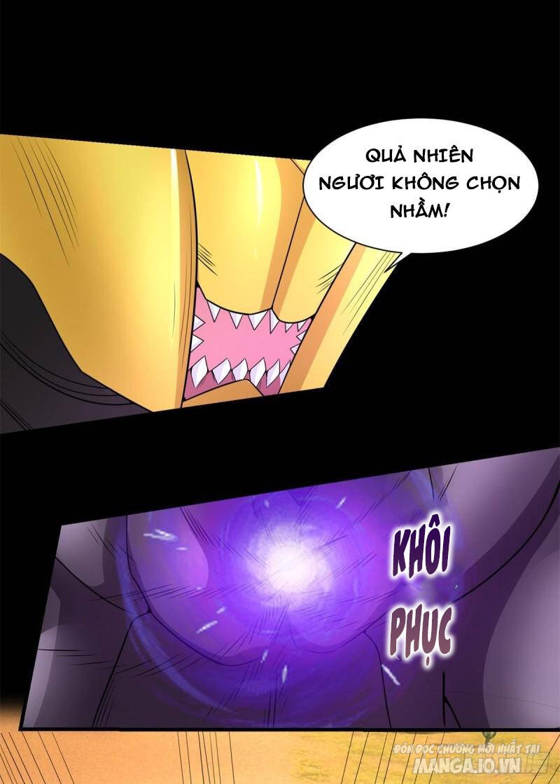 Mạt Thế Vi Vương Chapter 527 - Trang 2