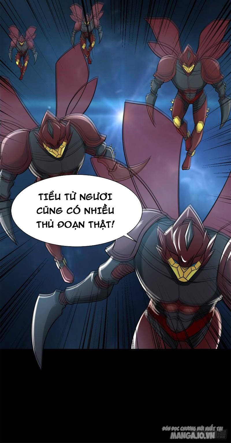 Mạt Thế Vi Vương Chapter 527 - Trang 2