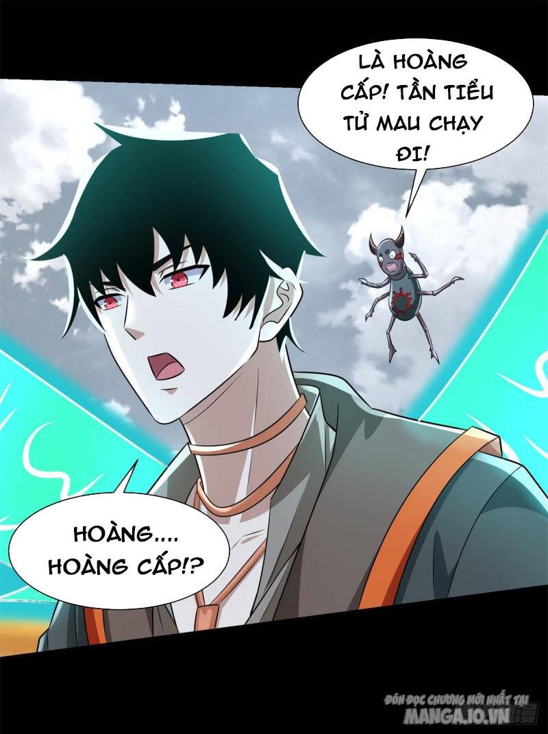 Mạt Thế Vi Vương Chapter 520 - Trang 2