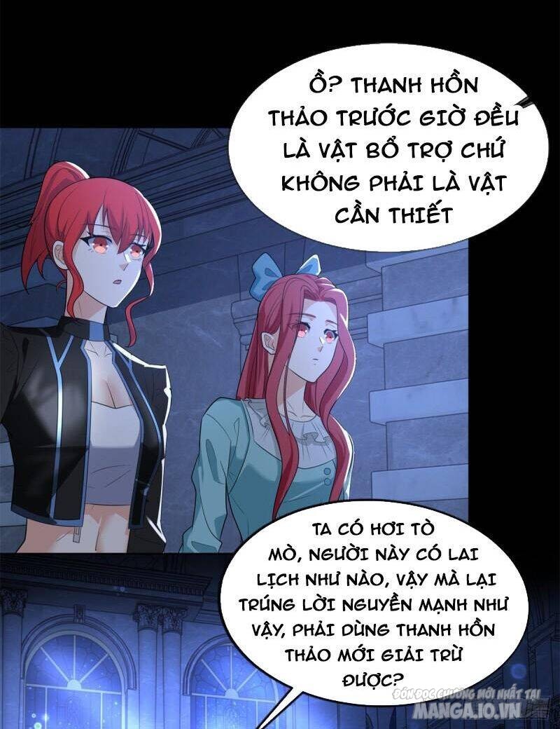 Mạt Thế Vi Vương Chapter 501 - Trang 2