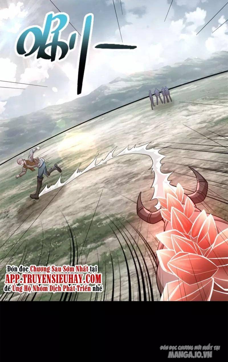 Mạt Thế Vi Vương Chapter 498 - Trang 2