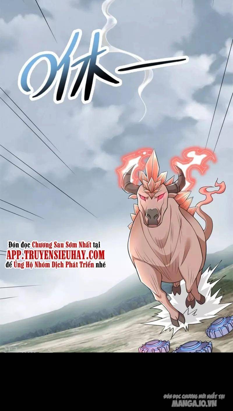 Mạt Thế Vi Vương Chapter 498 - Trang 2