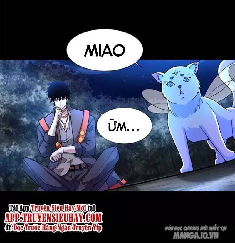 Mạt Thế Vi Vương Chapter 497 - Trang 2