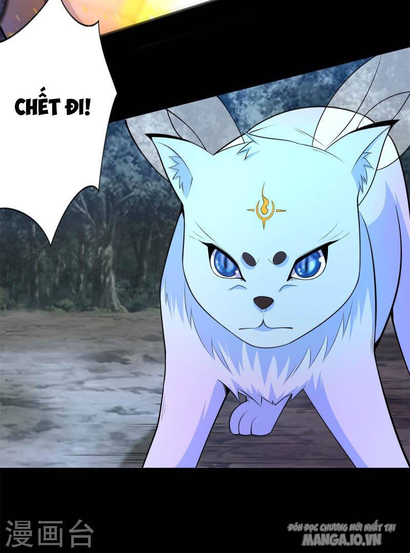 Mạt Thế Vi Vương Chapter 492 - Trang 2