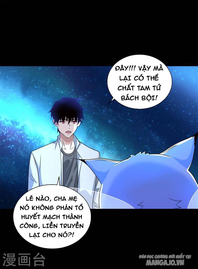 Mạt Thế Vi Vương Chapter 481 - Trang 2