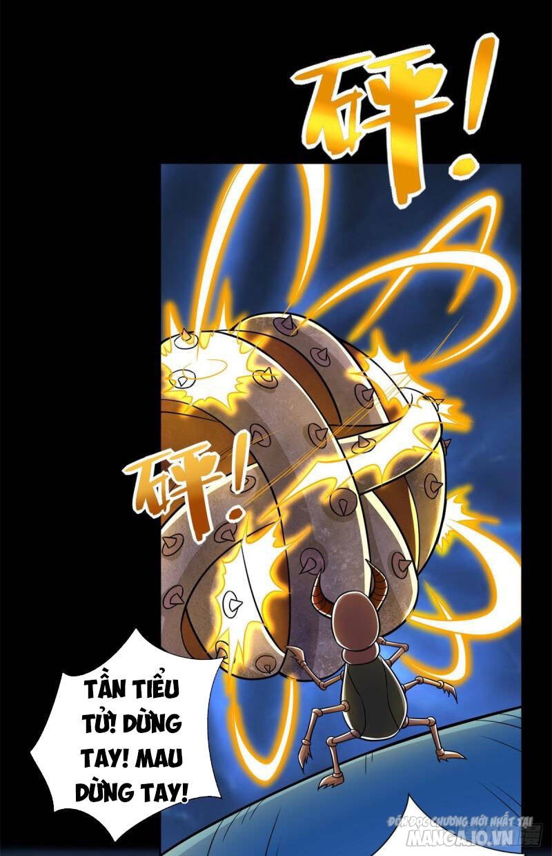 Mạt Thế Vi Vương Chapter 480 - Trang 2