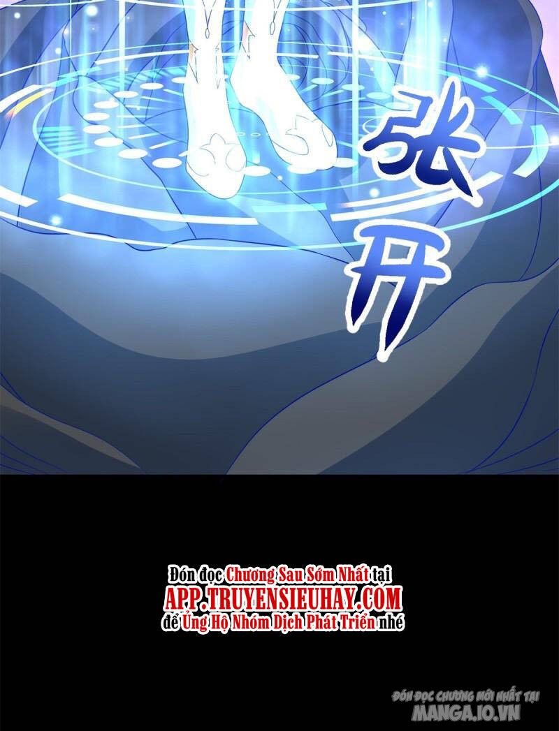 Mạt Thế Vi Vương Chapter 475 - Trang 2