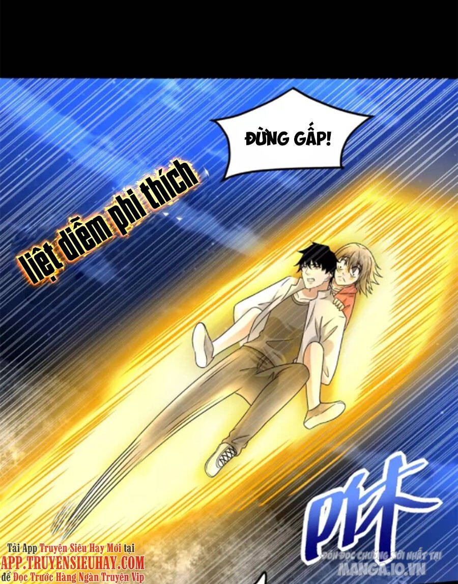 Mạt Thế Vi Vương Chapter 442 - Trang 2