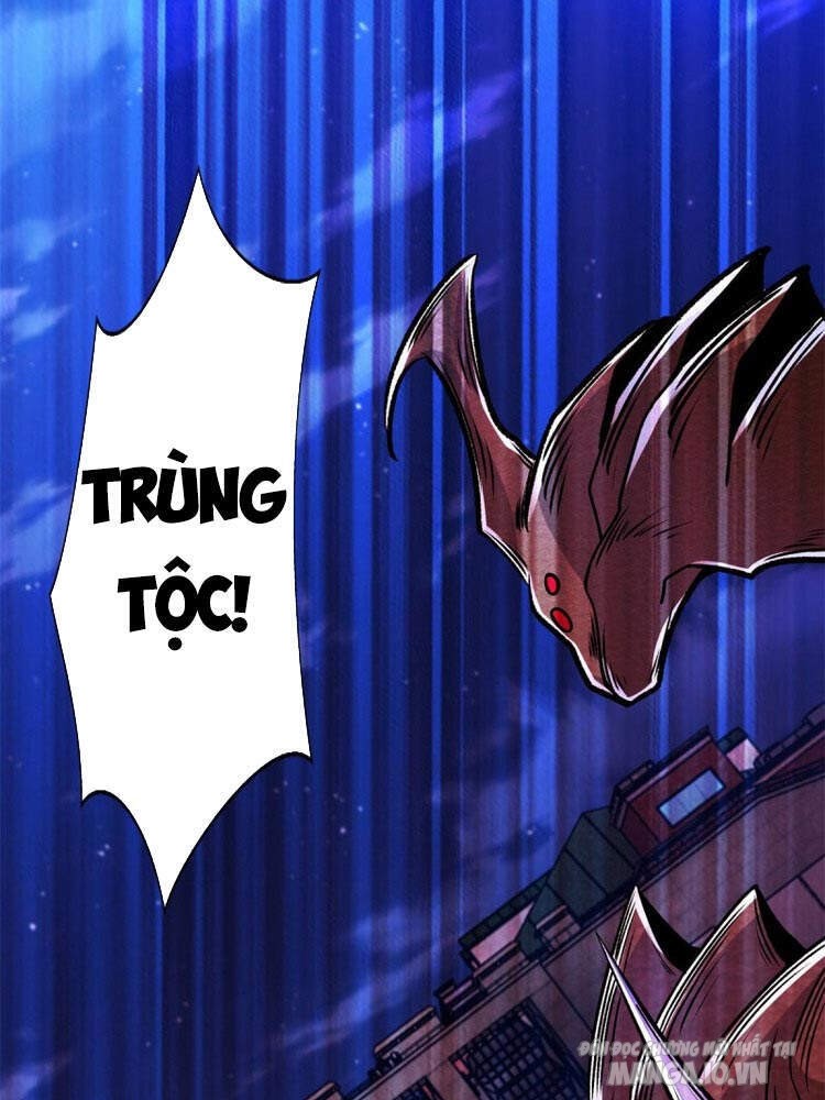 Mạt Thế Vi Vương Chapter 394 - Trang 2