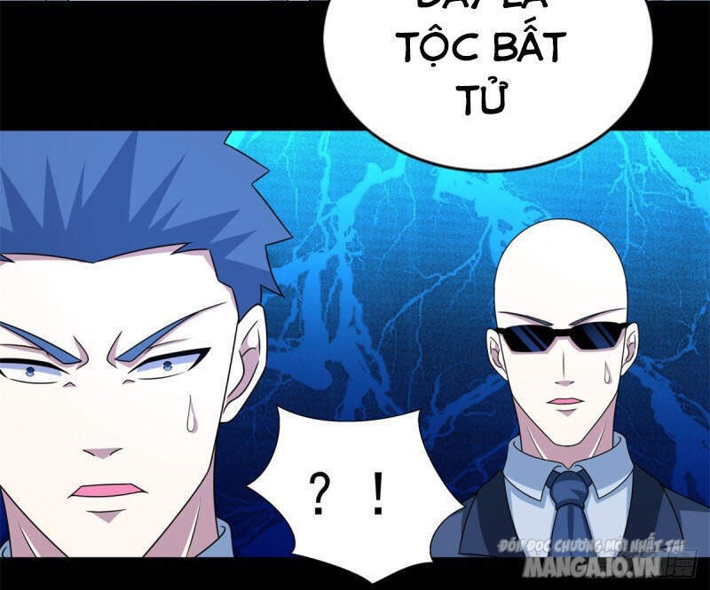 Mạt Thế Vi Vương Chapter 389 - Trang 2