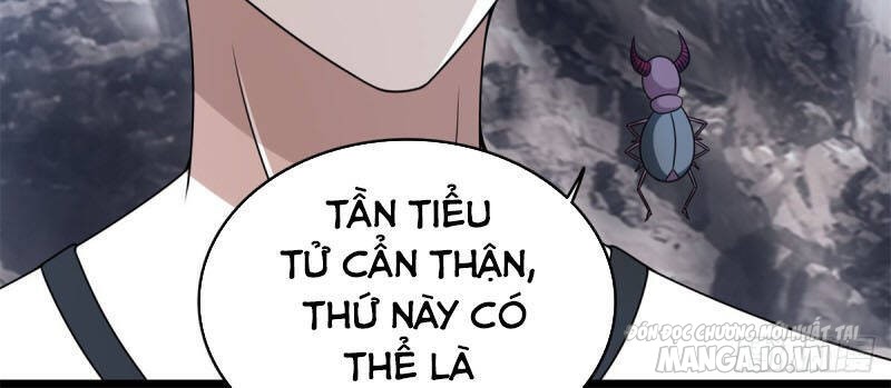 Mạt Thế Vi Vương Chapter 341 - Trang 2