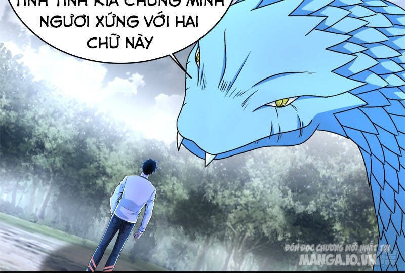 Mạt Thế Vi Vương Chapter 339 - Trang 2