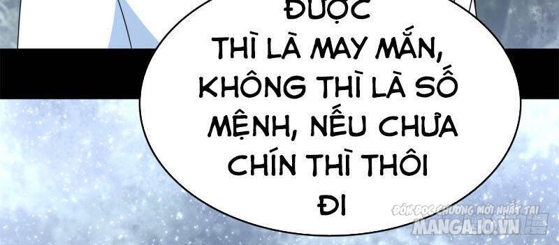 Mạt Thế Vi Vương Chapter 338 - Trang 2