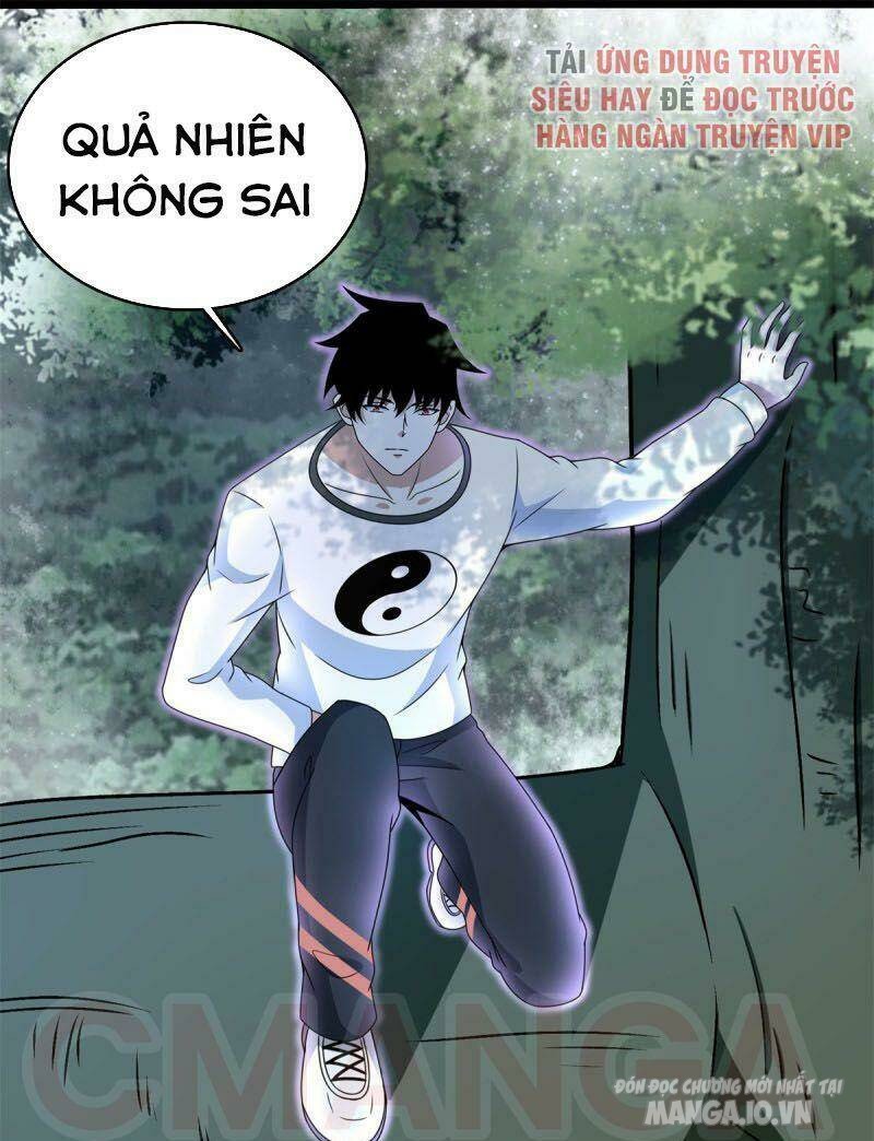 Mạt Thế Vi Vương Chapter 325 - Trang 2