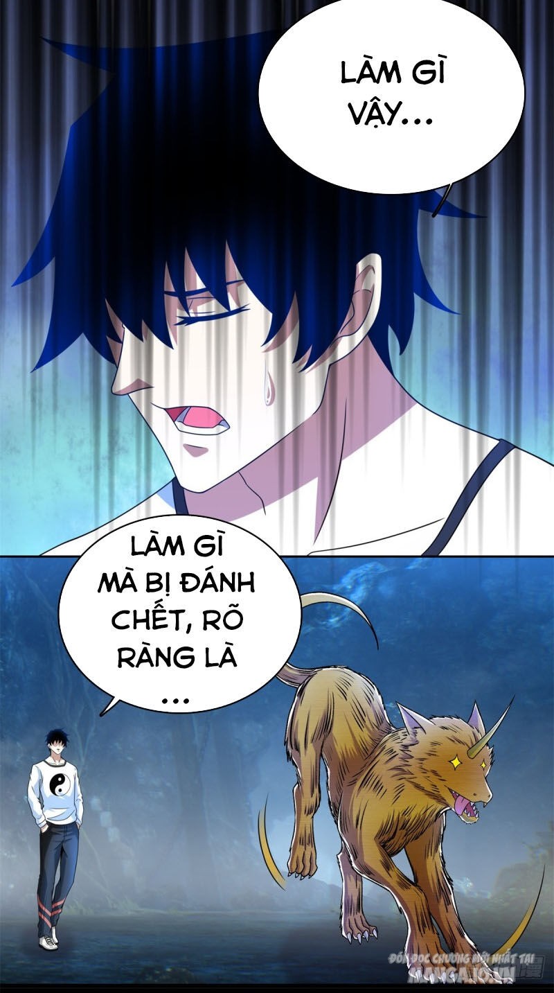 Mạt Thế Vi Vương Chapter 288 - Trang 2