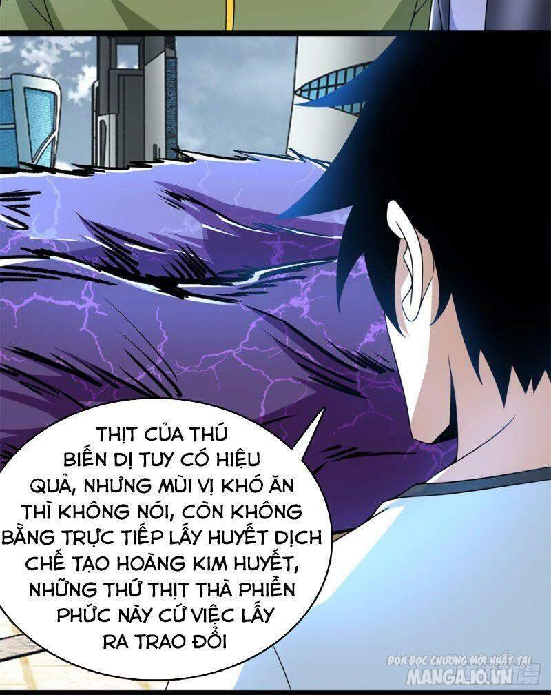 Mạt Thế Vi Vương Chapter 282 - Trang 2