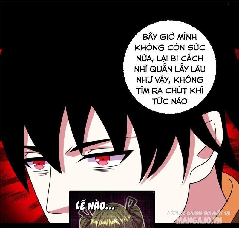 Mạt Thế Vi Vương Chapter 272 - Trang 2