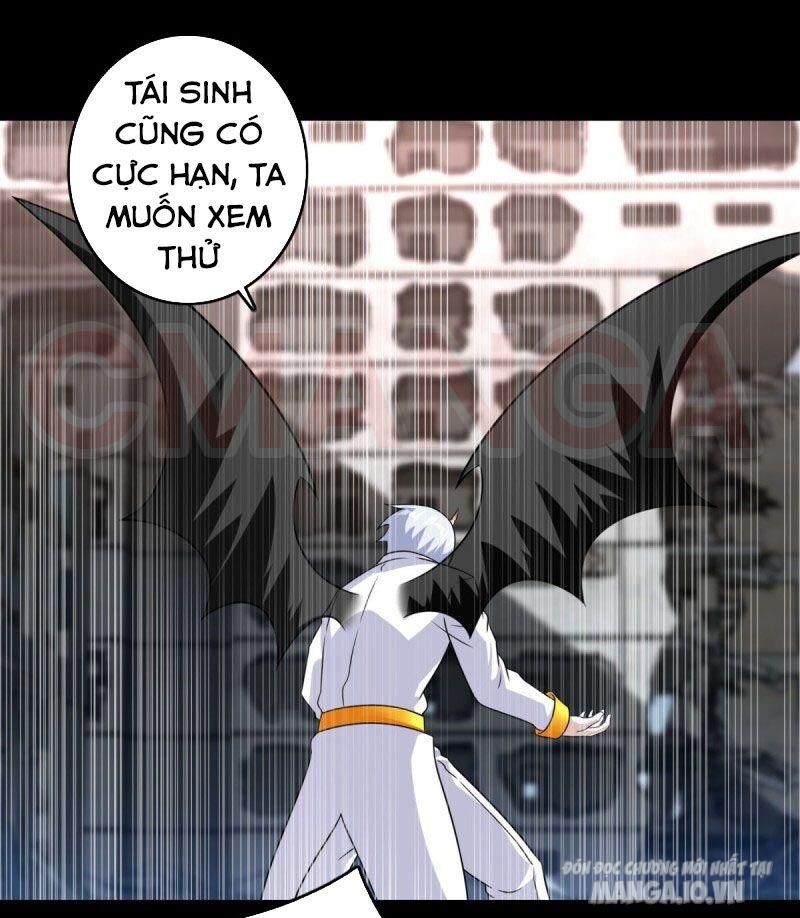 Mạt Thế Vi Vương Chapter 271 - Trang 2