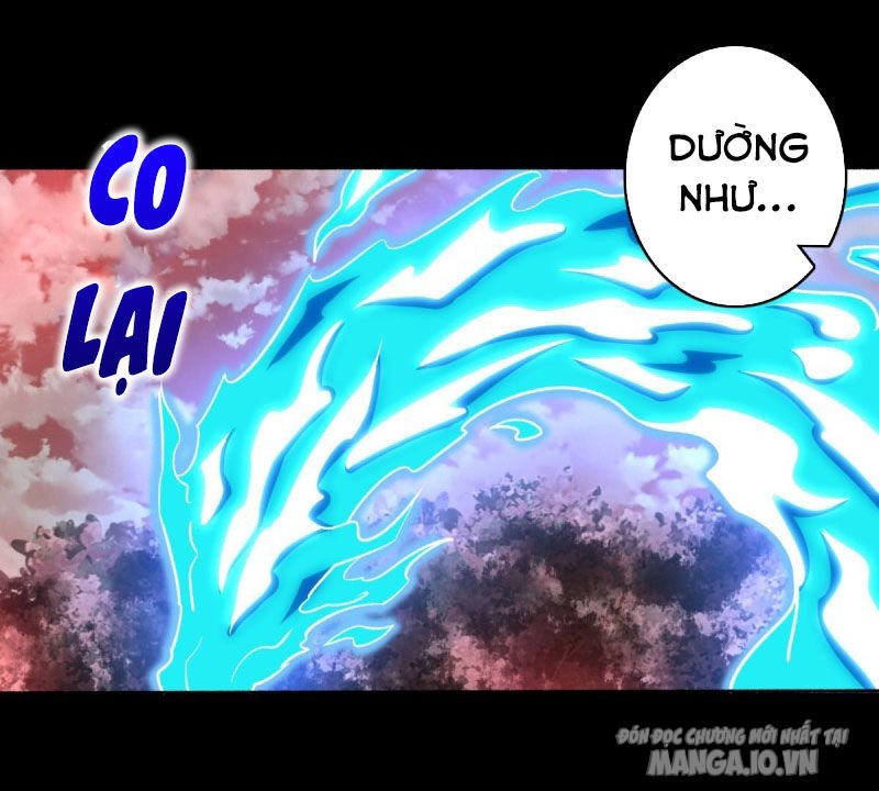 Mạt Thế Vi Vương Chapter 267 - Trang 2