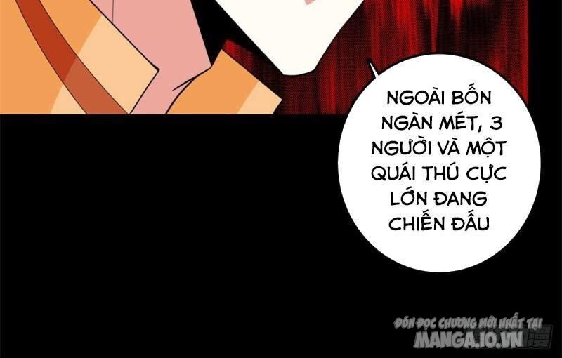 Mạt Thế Vi Vương Chapter 229 - Trang 2