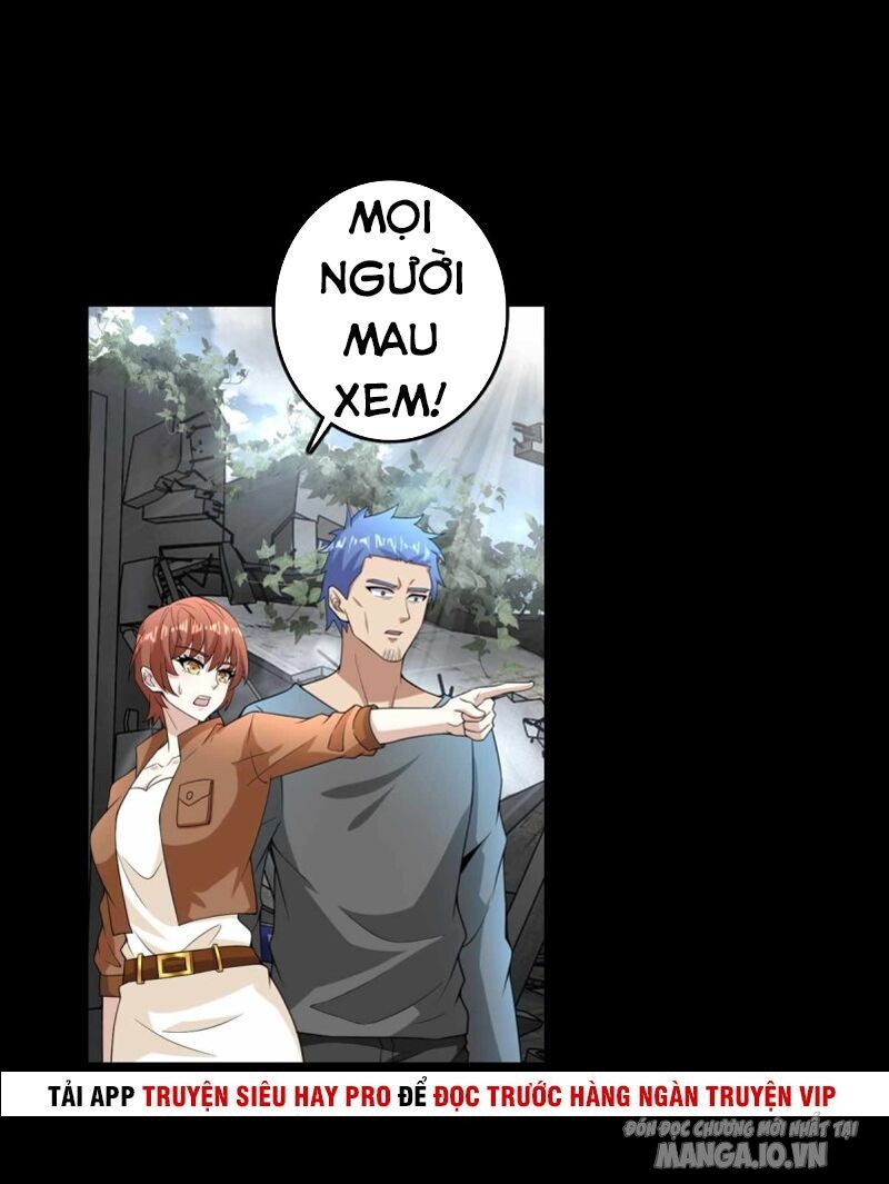 Mạt Thế Vi Vương Chapter 224 - Trang 2