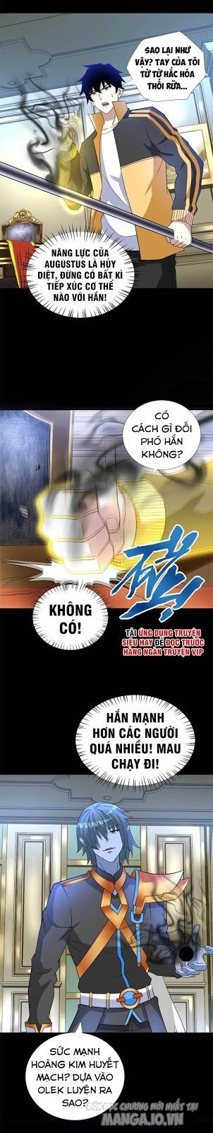 Mạt Thế Vi Vương Chapter 211 - Trang 2