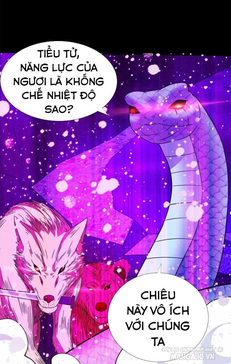 Mạt Thế Vi Vương Chapter 207 - Trang 2